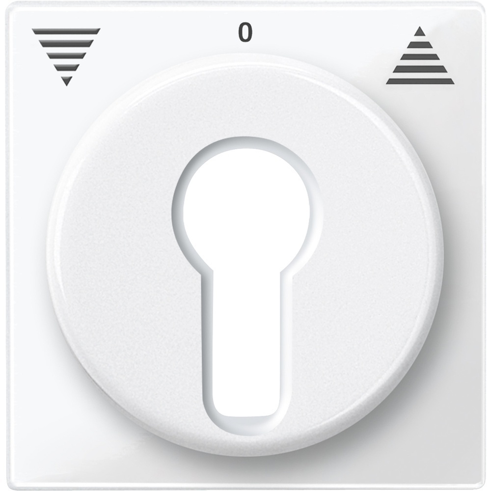 Merten Zentralplatte 319419