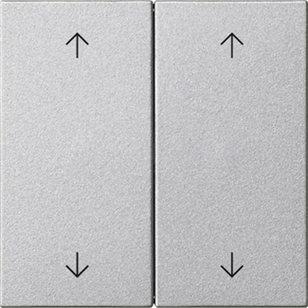 Gira Wippe 2fach 538726