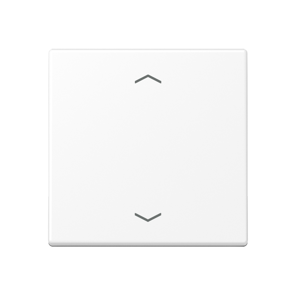 Jung Steuertaste A1700BFPWWM