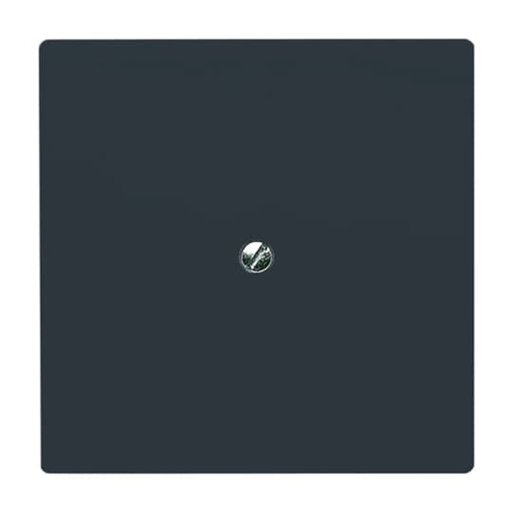 Busch-Jaeger Blindzentralscheibe 2138-35 Nr. 2CKA001710A1928