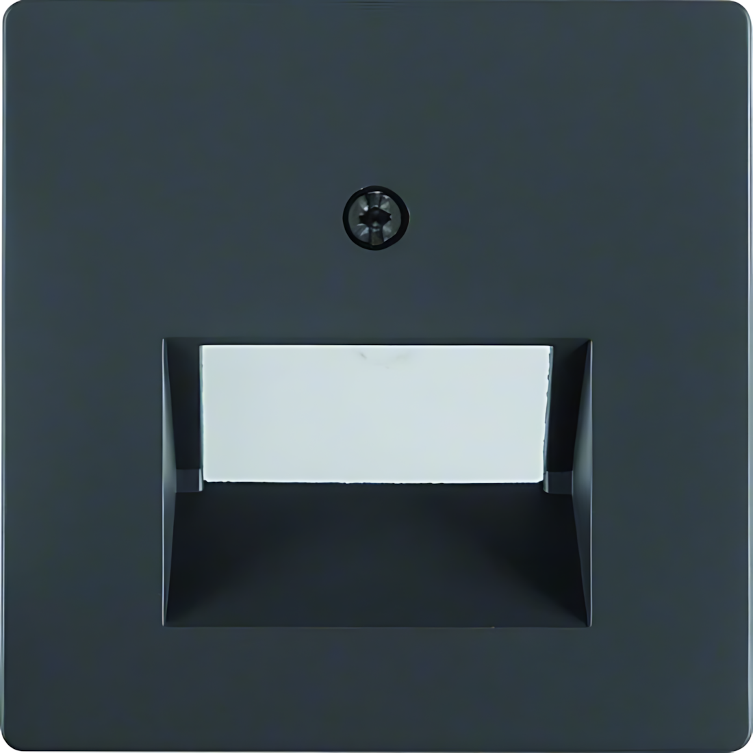 Berker Zentralstück 14096086