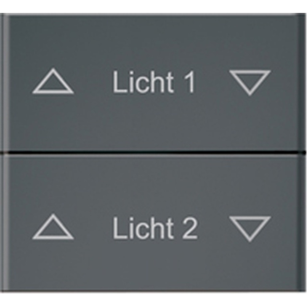 ELTAKO Doppelwippe 30000962 Typ DW-FF8-anthrazit softlackiert