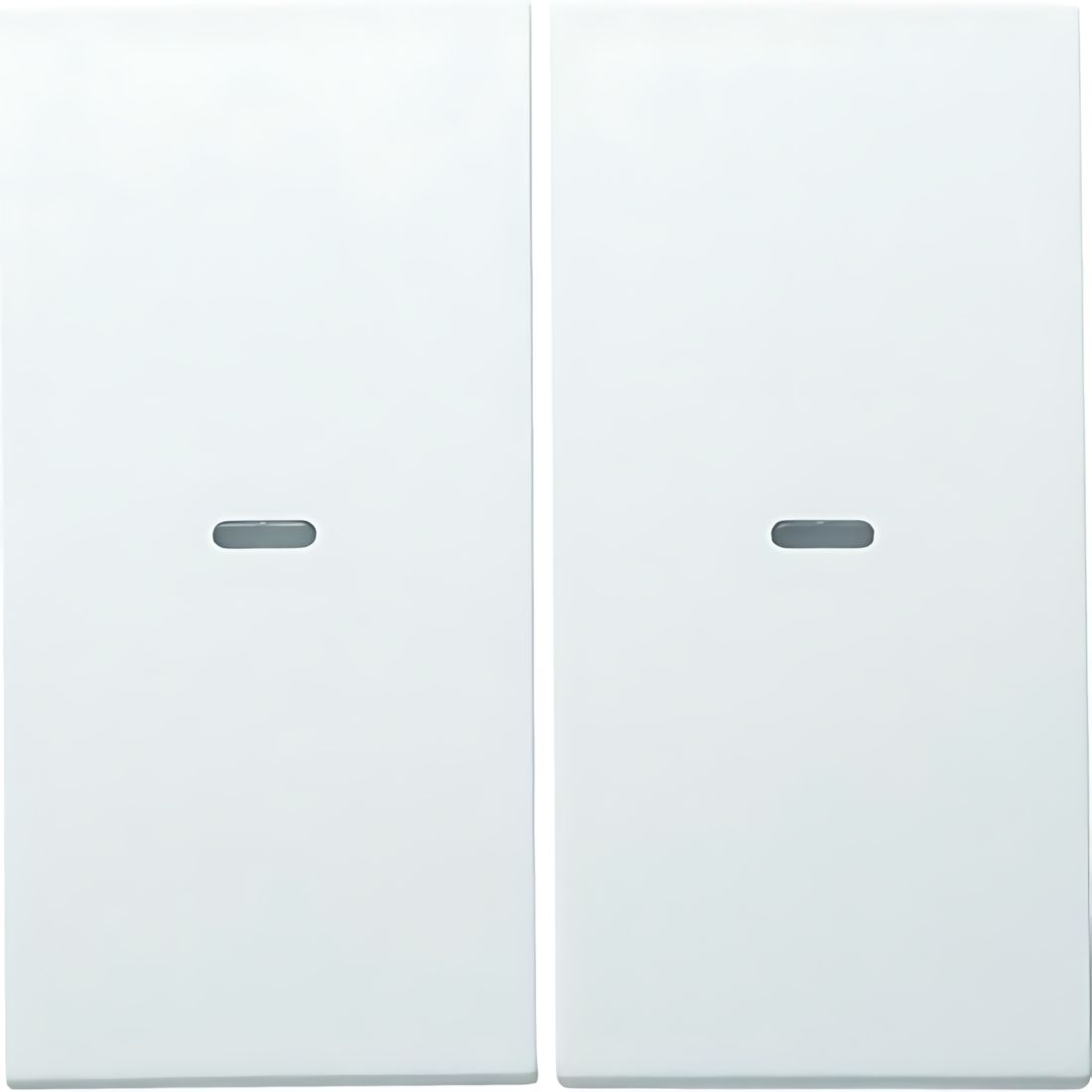 Berker Wippe 80960399