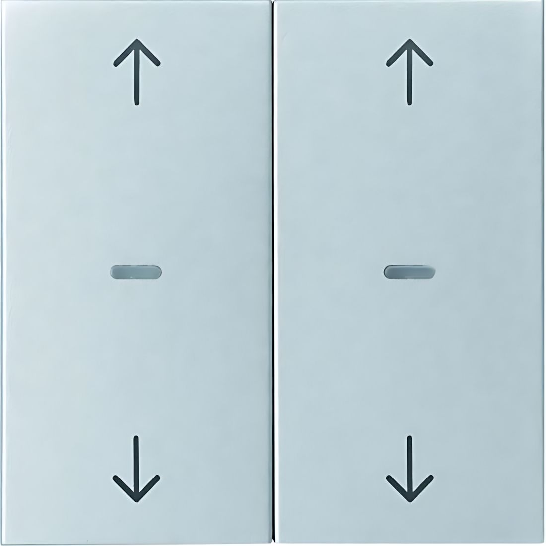 Berker Tastsensor Abdeckung 80961383