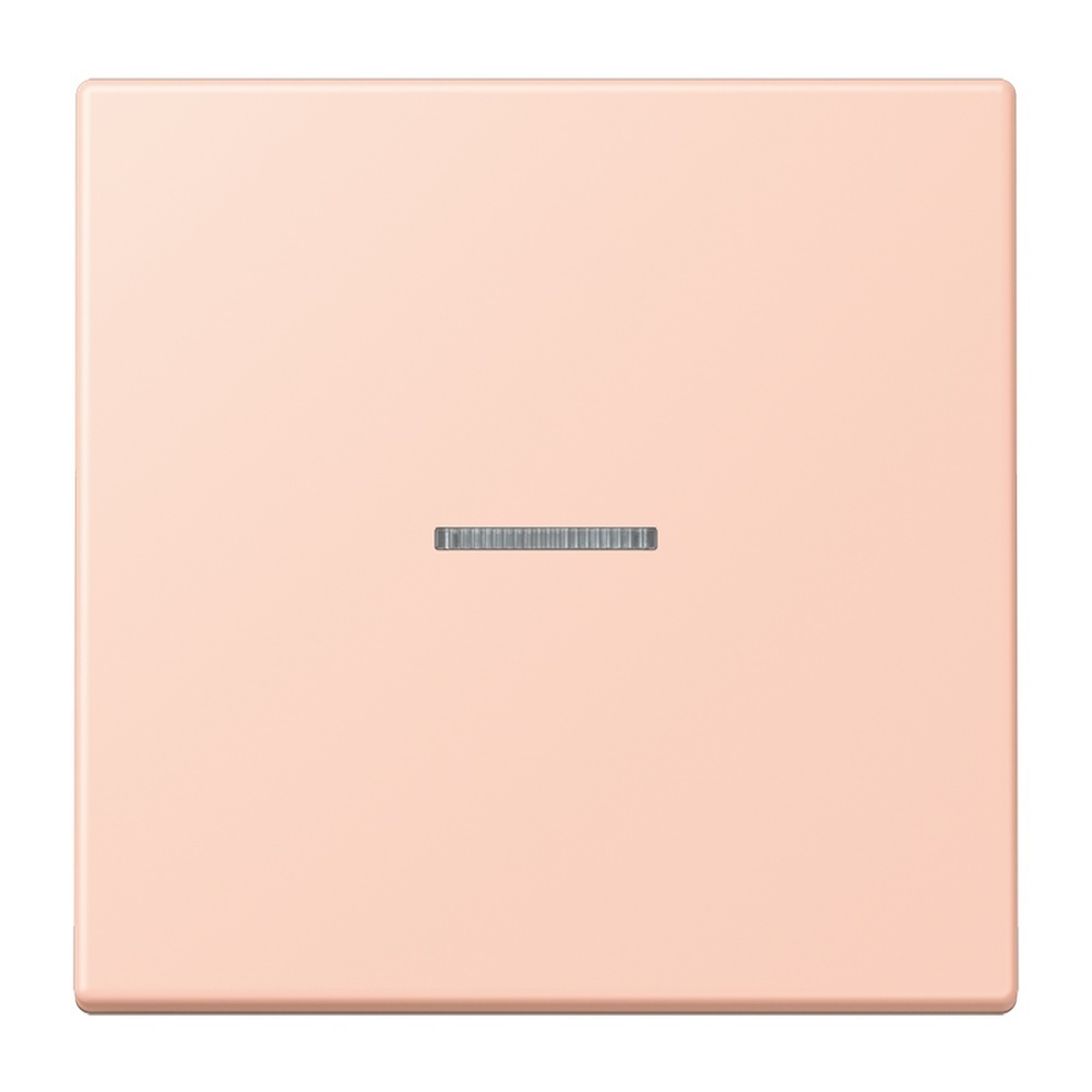 Jung Taster FMLC1700234