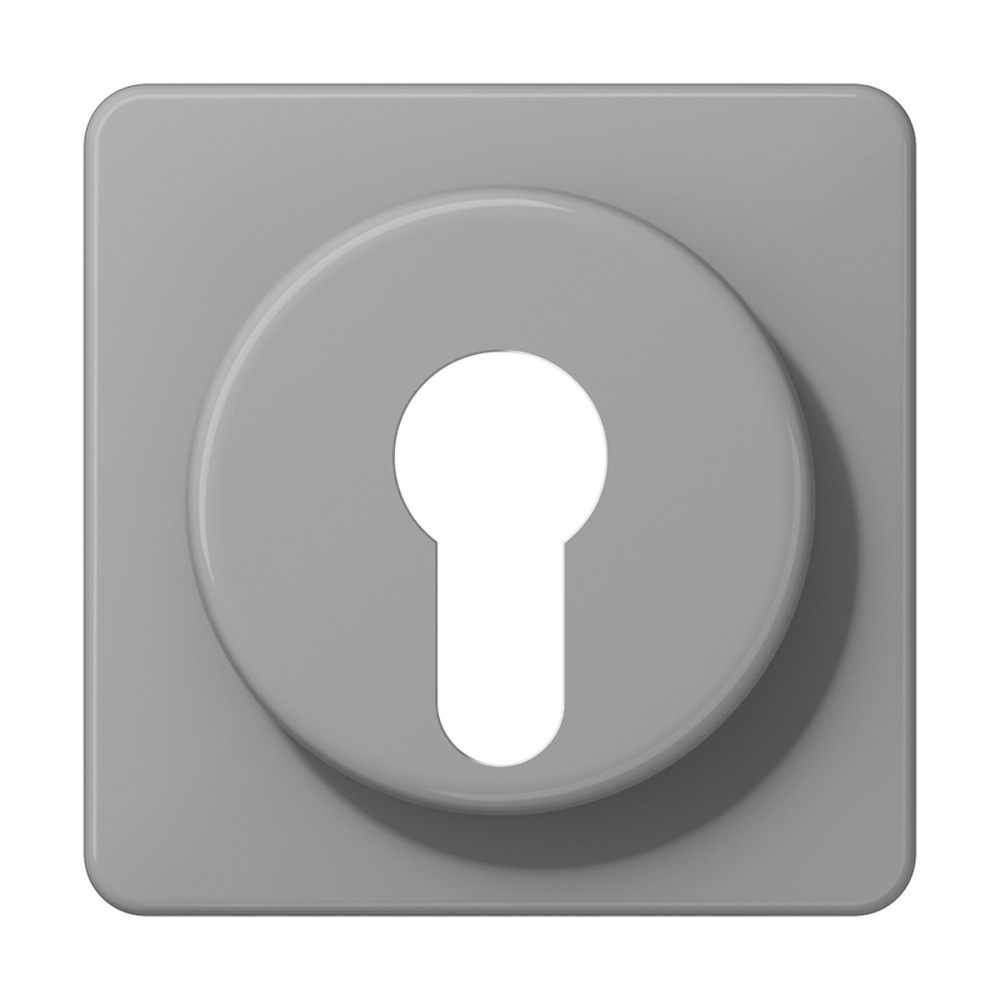 Jung Abdeckung CD528GR-KB