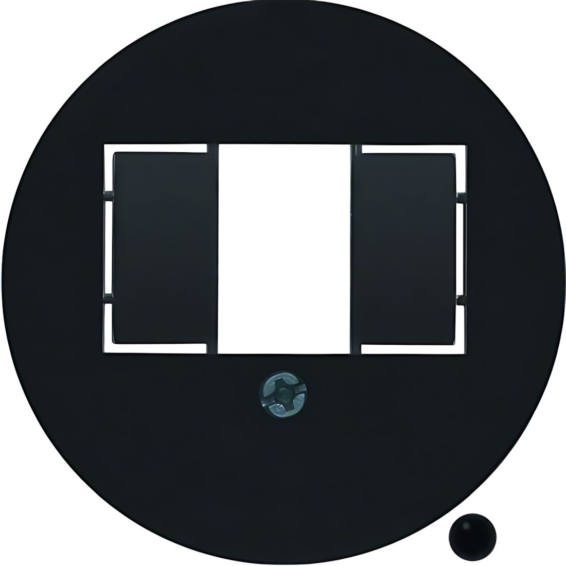 Berker Zentralstück 104001