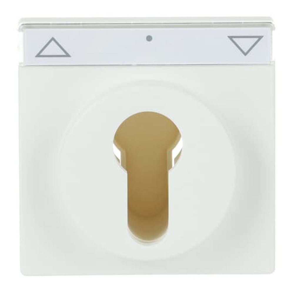 Busch-Jaeger Zentralscheibe 1755 SL/PZ-884-101 Nr. 2CKA001710A3925