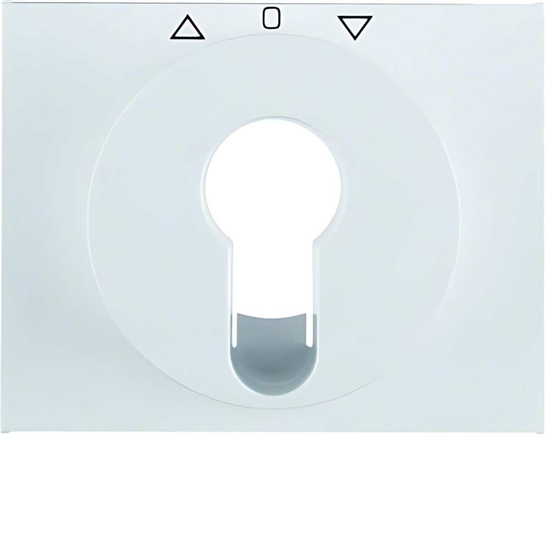 Berker Zentralstück 15047109