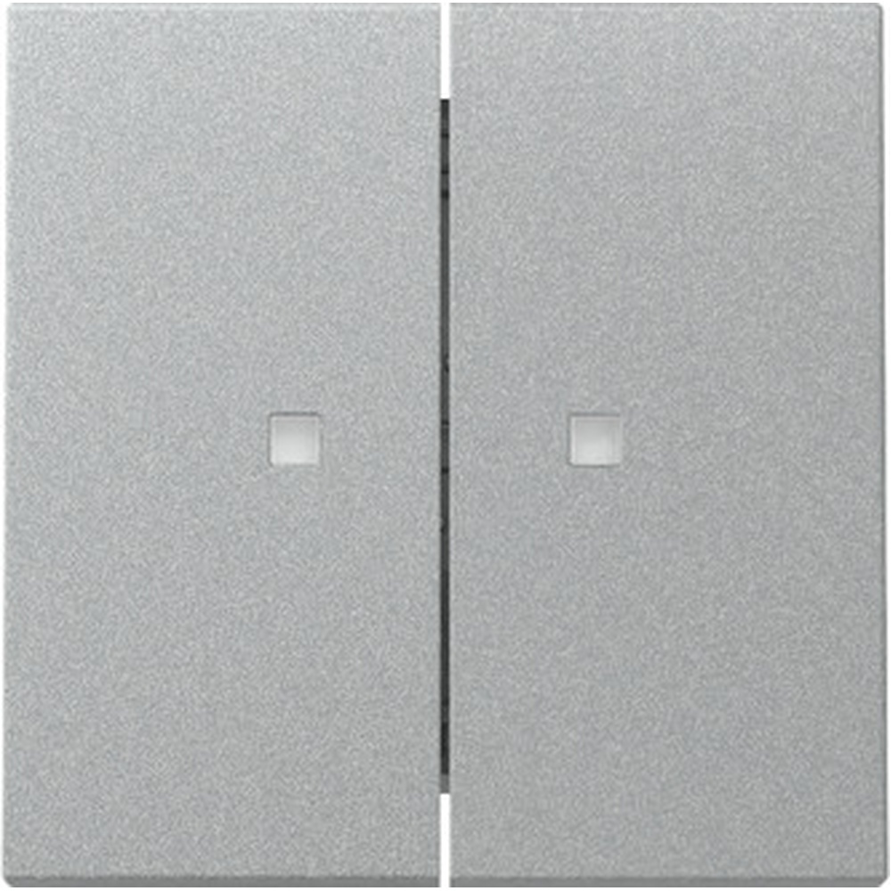 Gira Wippe 2fach 363126