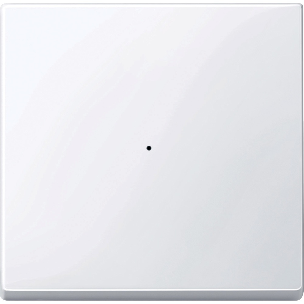 Schneider Electric Wippe MTN619125