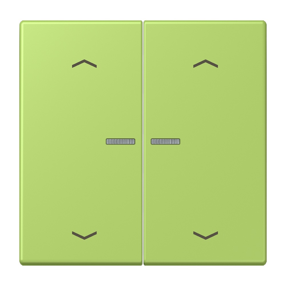 Jung Wippe mit Lichtleiter LC102KO5P221