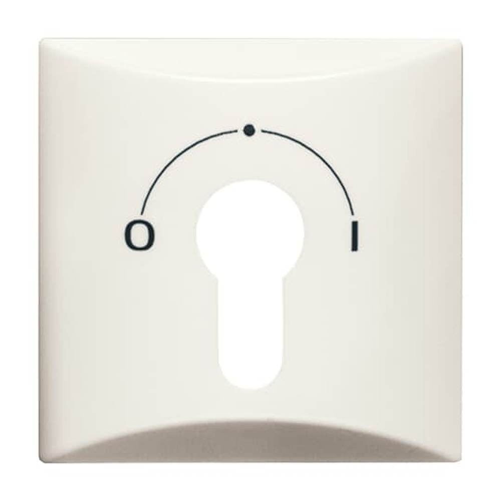 Busch-Jaeger Zentralscheibe 2155 SLPZ-32 Nr. 2CKA001710A2249