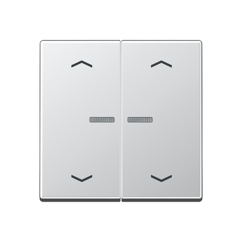 Jung Serienwippe m. Lichtleiter A102KO5PAL