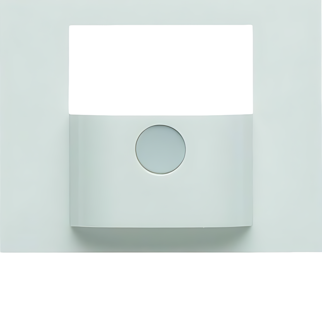 Berker Abdeckung 80960479