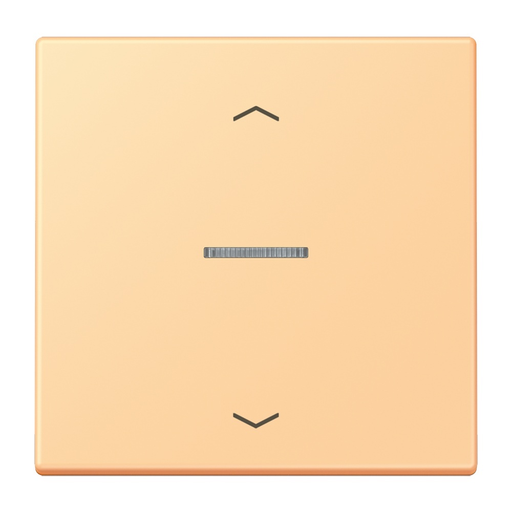 Jung Wippe mit Lichtleiter LC101KO5P258