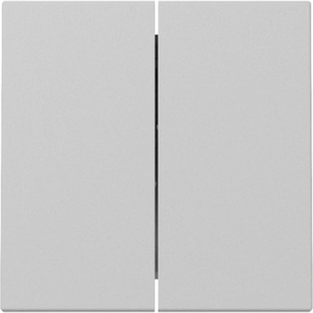 Gira Wippe 2fach 3295015