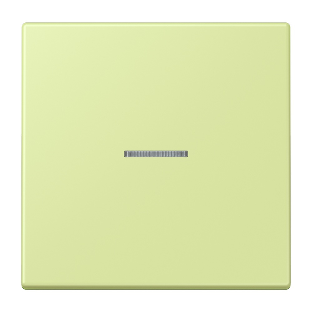 Jung Wippe mit Lichtleiter für Taster 1fach LC101KO5222