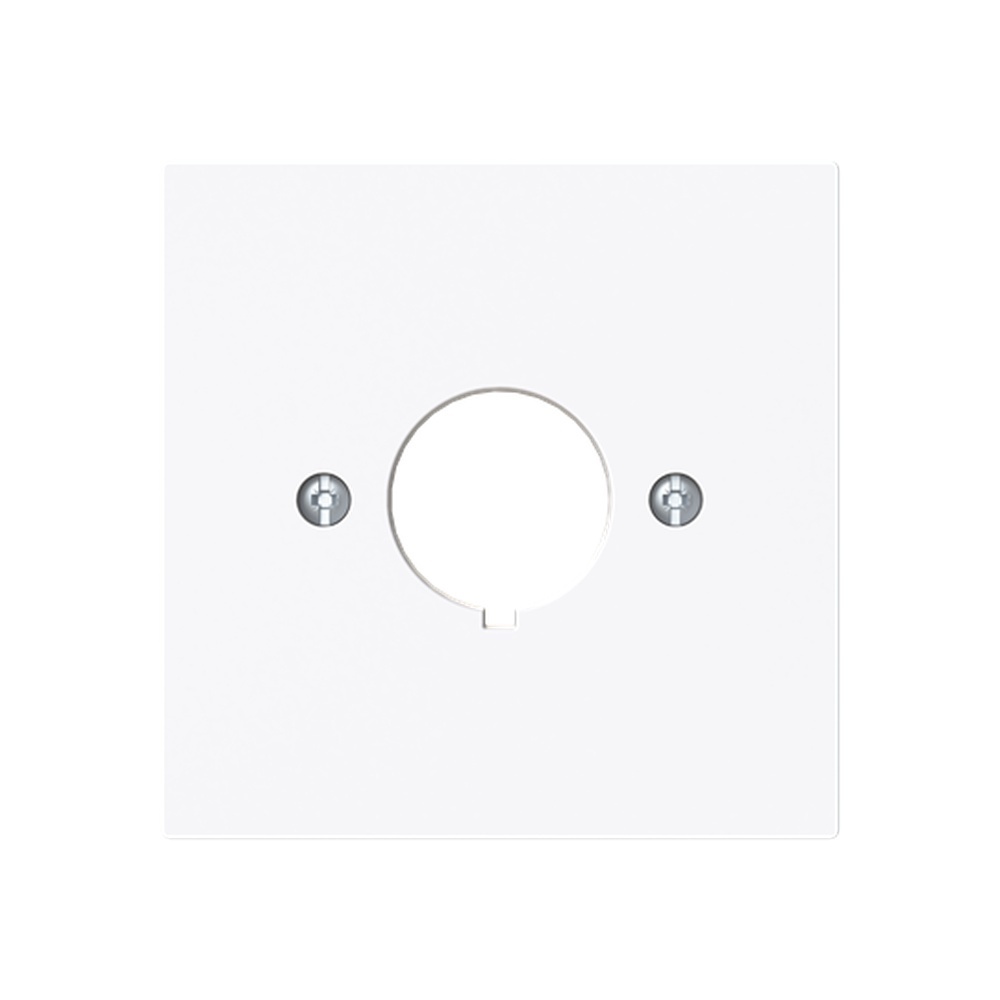 Busch-Jäger Zentralscheibe 2533-44G Nr. 2CKA001724A4444