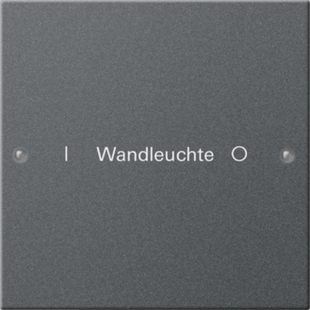 Gira Wippenset 1fach 220128