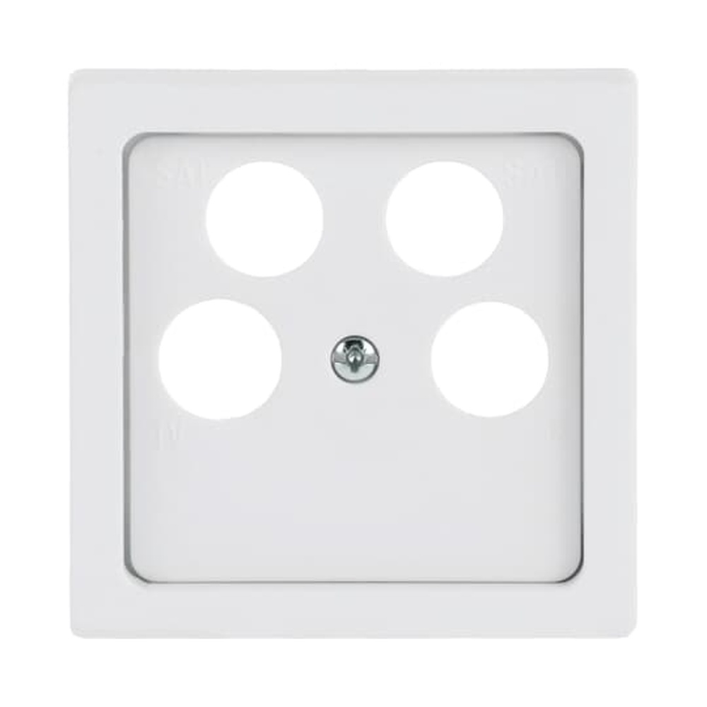 Busch-Jaeger Zentralscheibe 1743/10-04-884 Nr. 2CKA001724A4370