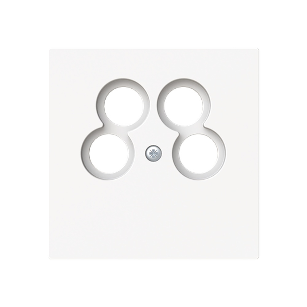 Busch-Jaeger Zentralscheibe 1743/10-04-44M Typ 2CKA001724A4441