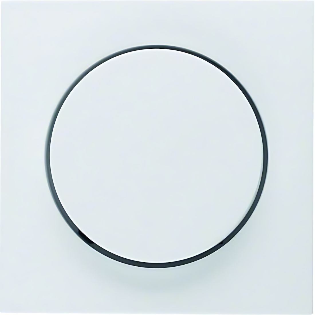 Berker Zentralstück 11371909