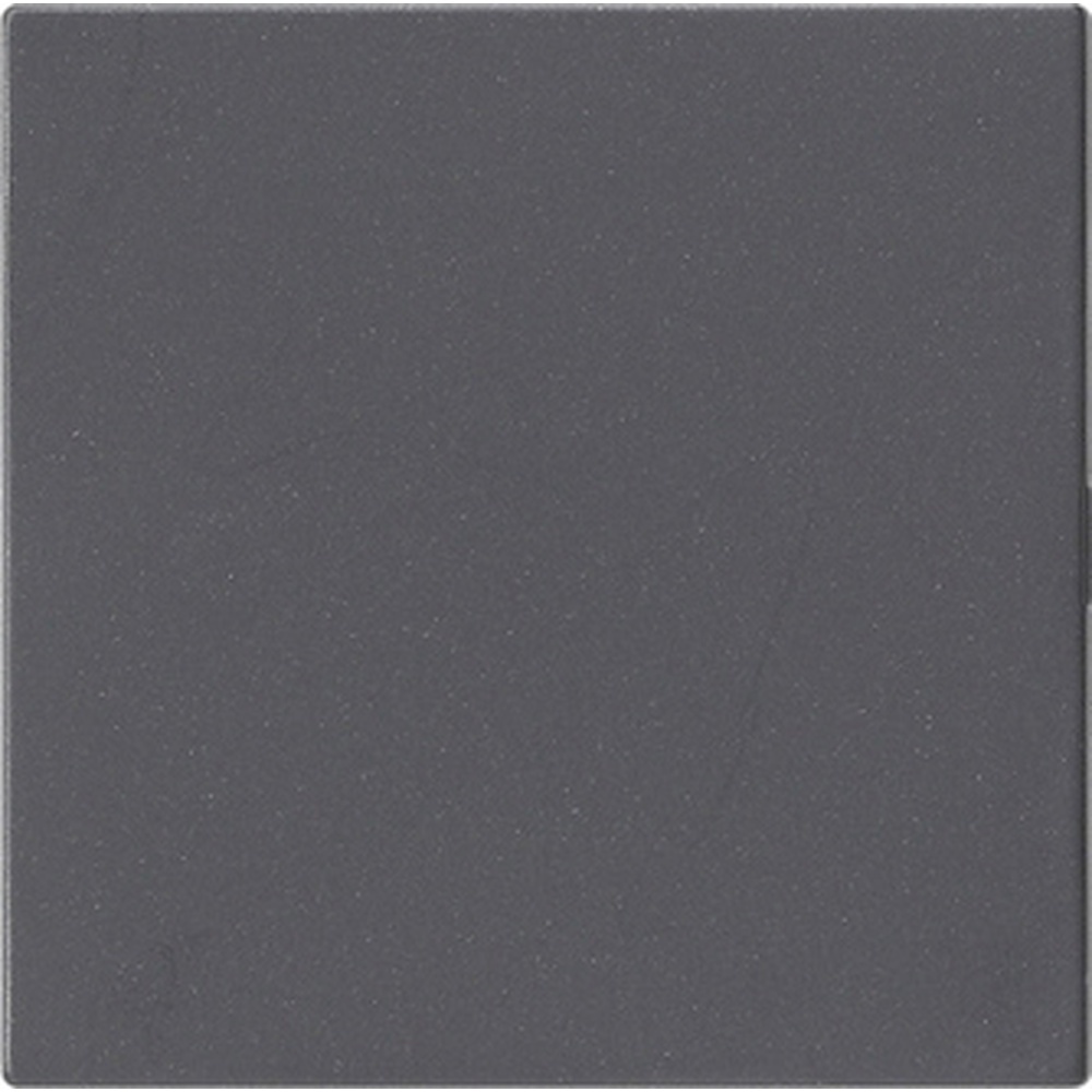 Gira Blindadapter 810828