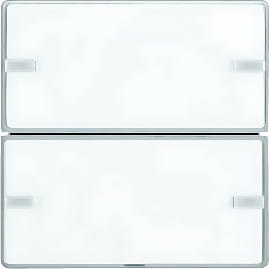 Berker Taster 80142321