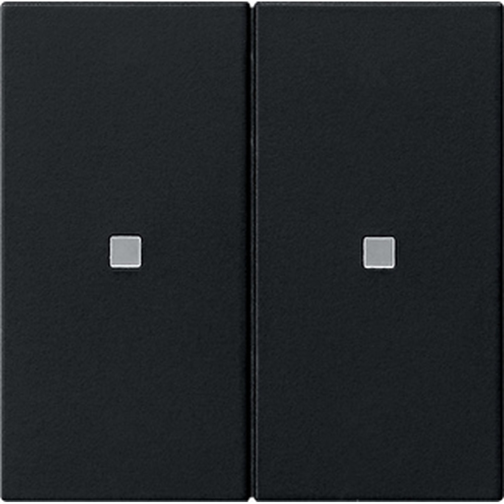 Gira Bedienaufsatz 2fach RF 5107005