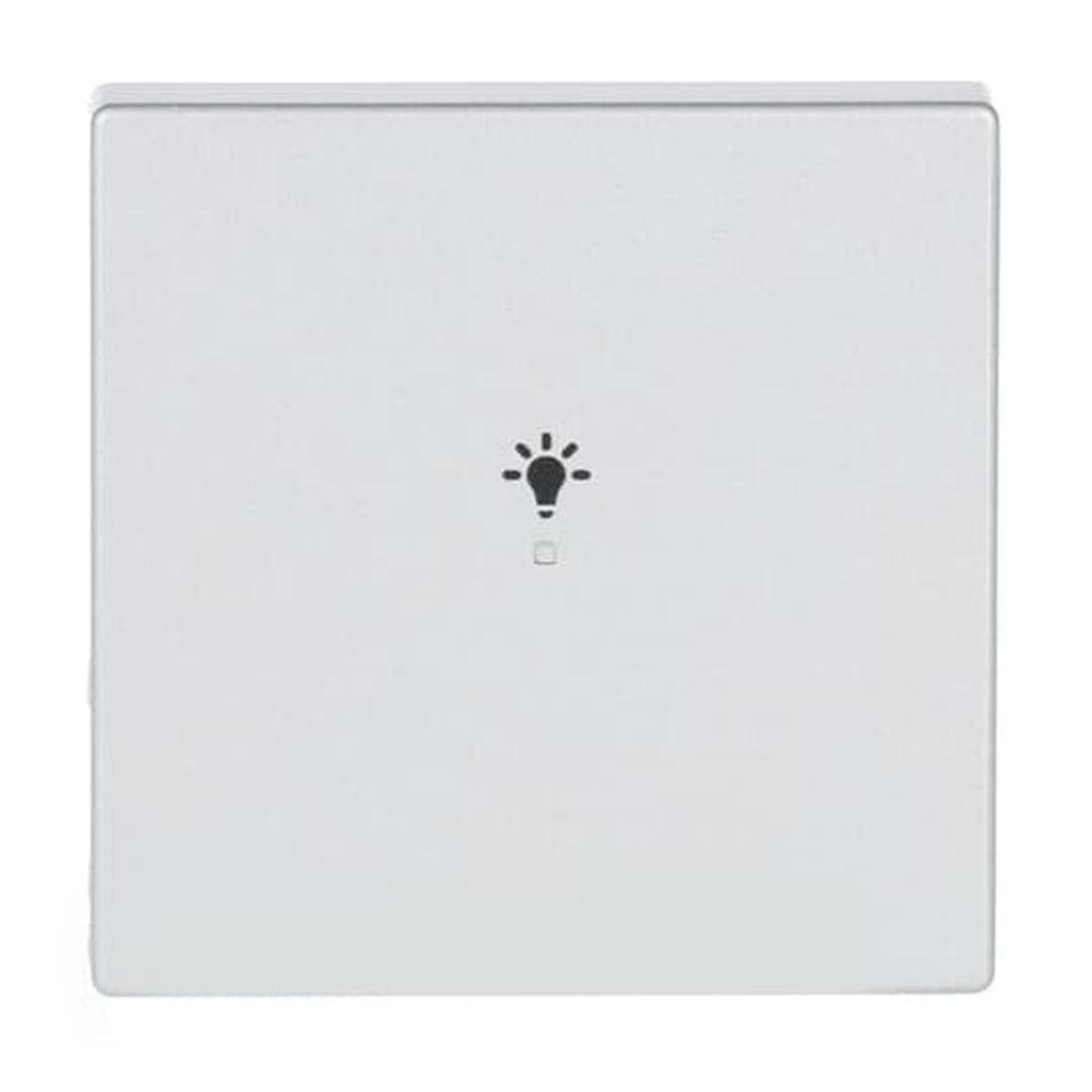 Busch-Jaeger Wippe 6231-10-83 Nr. 2CKA006220A0036