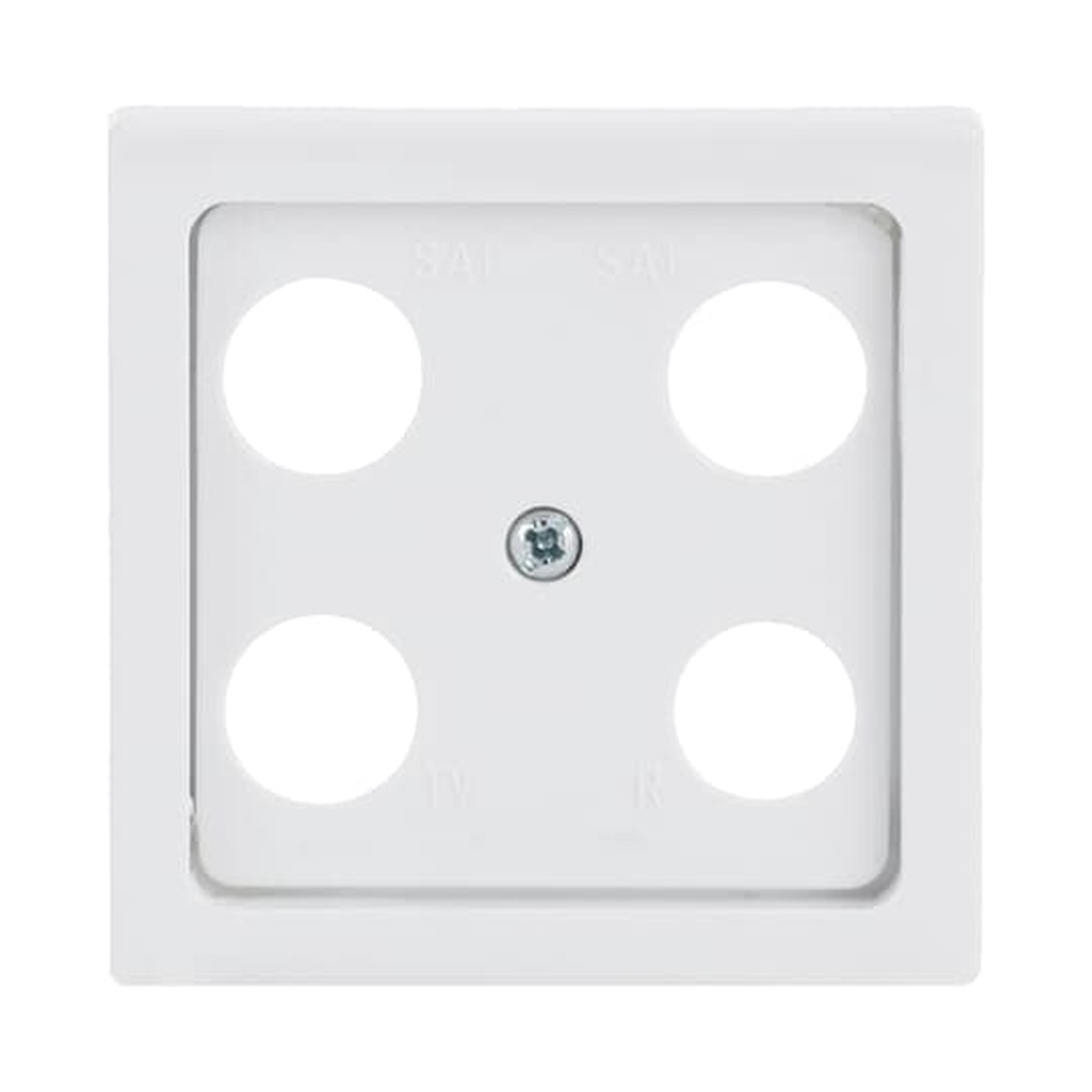 Busch-Jaeger Zentralscheibe 1743-04-84 Nr. 2CKA001724A4377