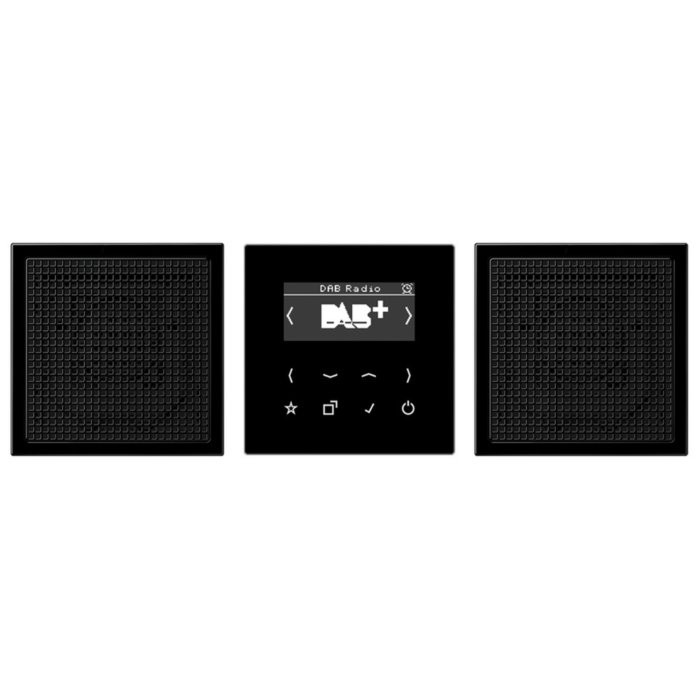 Jung Smart Radio DAB+ DABLS2SW