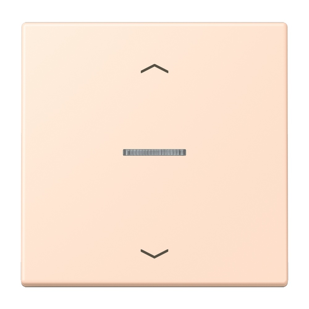 Jung Wippe mit Lichtleiter LC101KO5P228