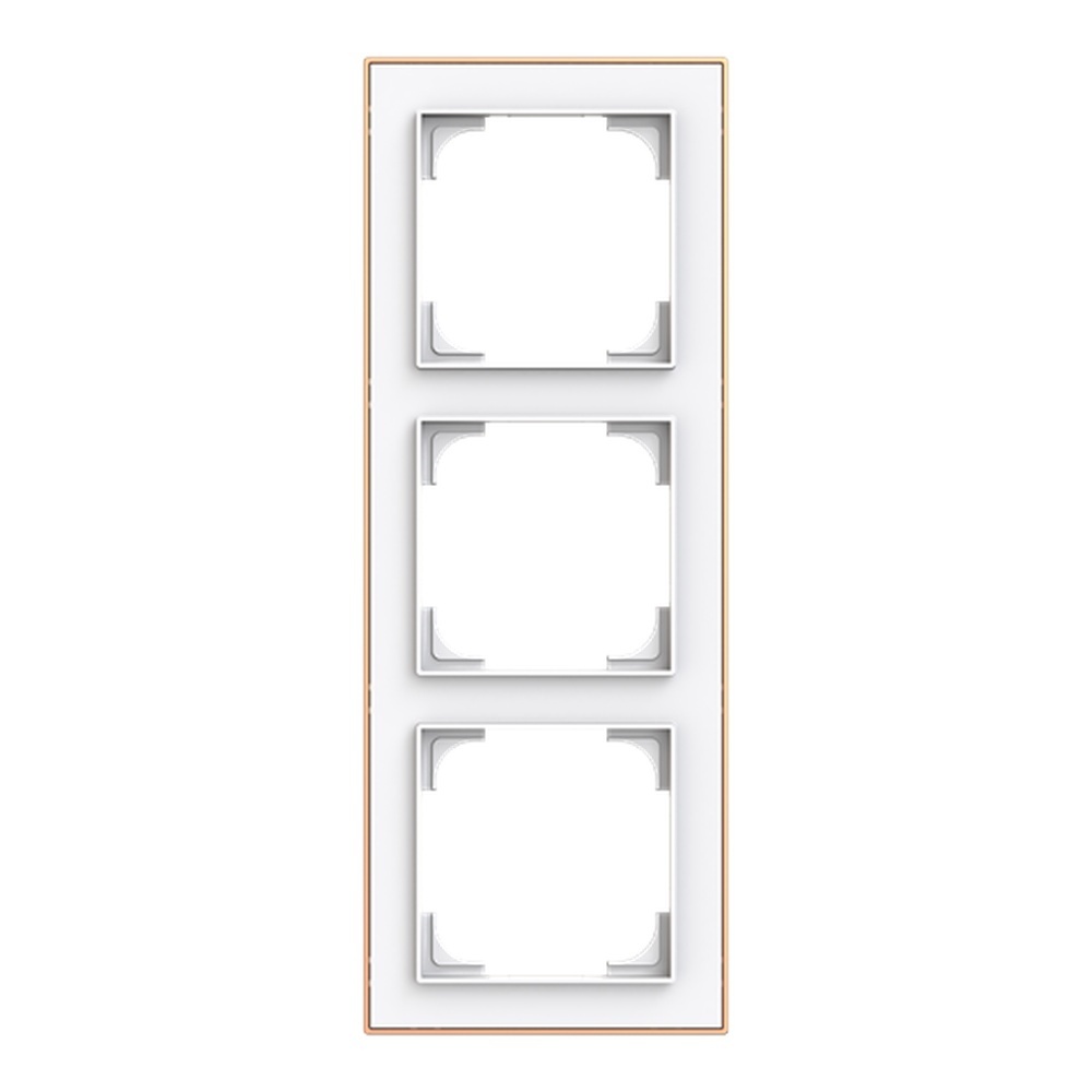 Busch-Jäger Rahmen 1723-441M Nr. 2CKA001754A4914