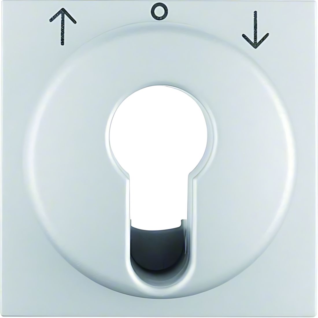 Berker Zentralstück 15061404