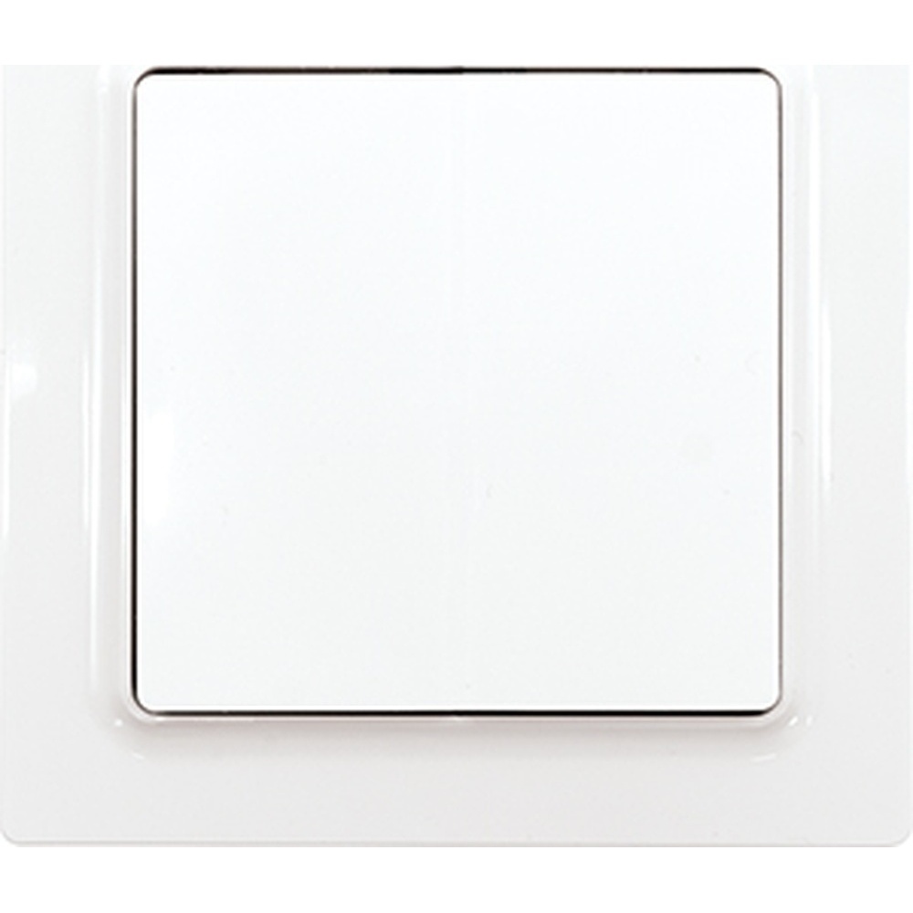 ELTAKO Wippschalter 30055707 Typ WS55E-wg