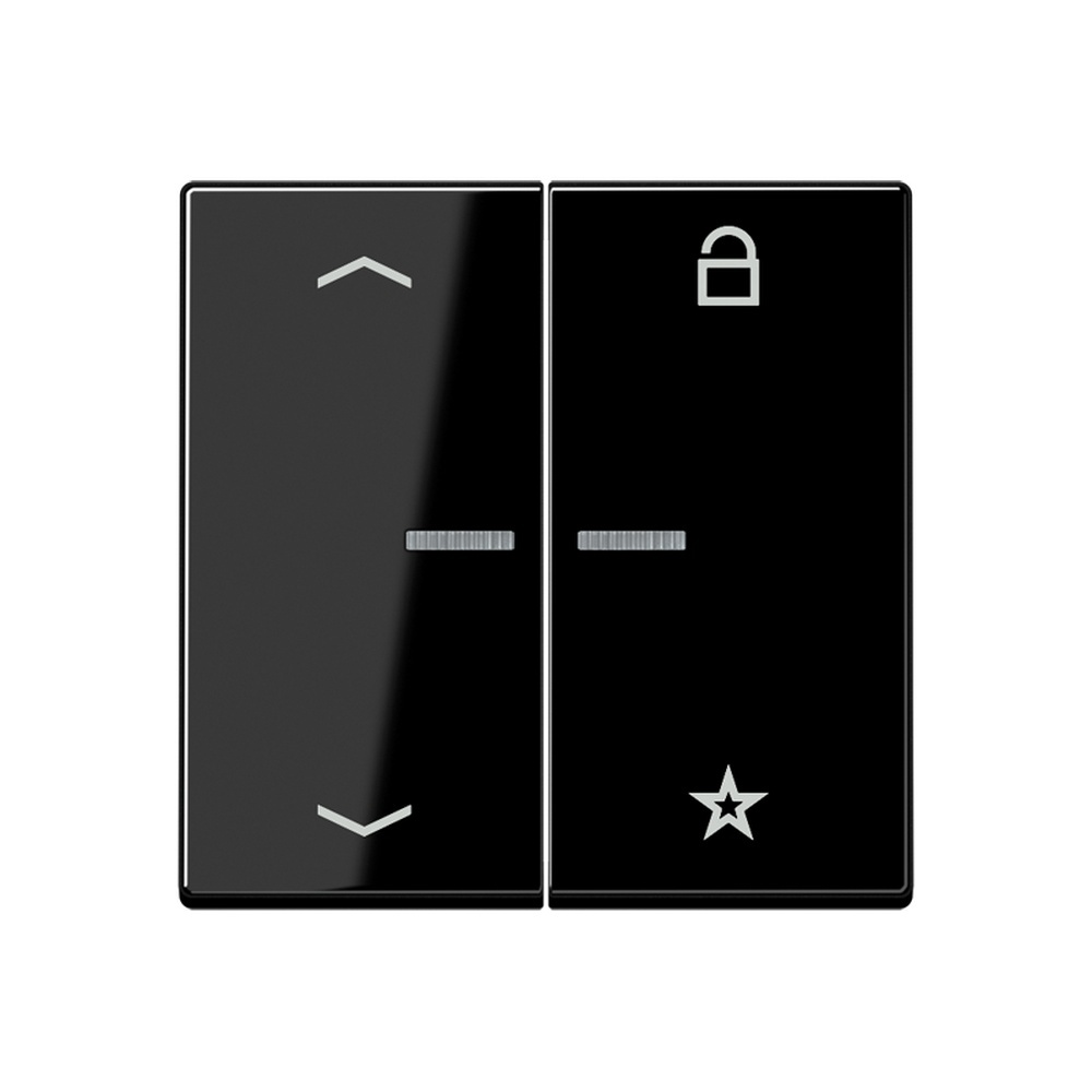 Jung eNet Funk Steuertaste FMA1701PSW