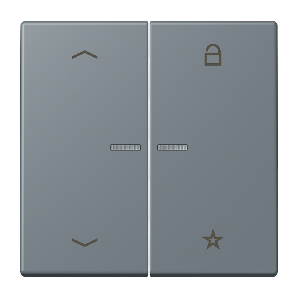 Jung Taster FMLC1701P251