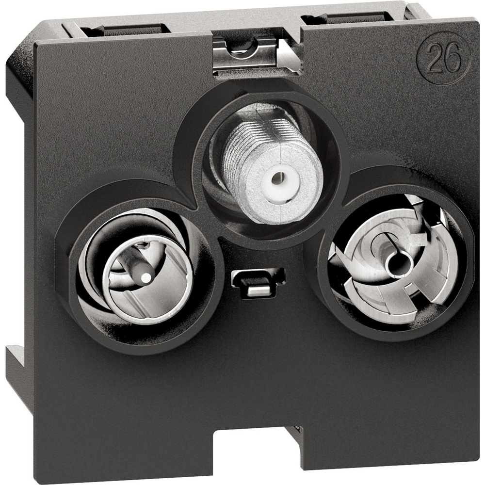 Bticino Einsatz K4210M2D