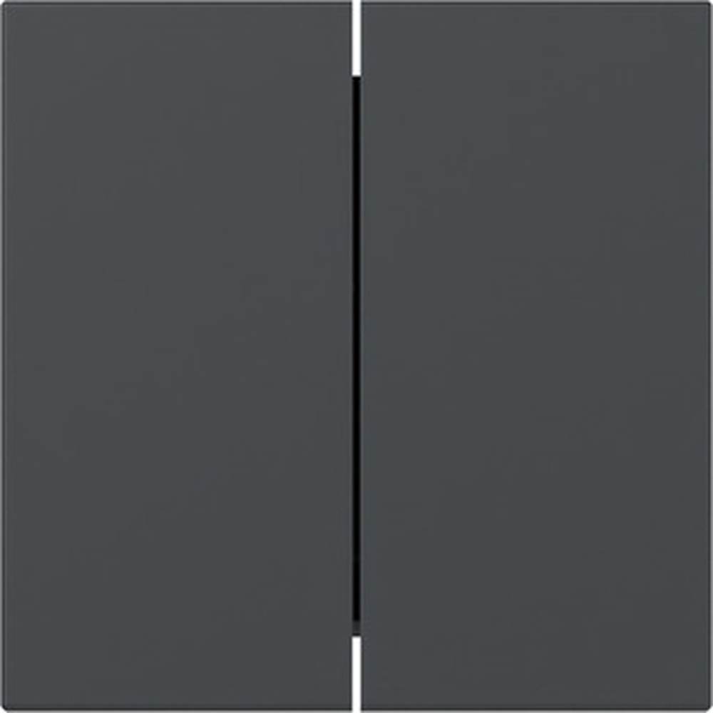 Gira Wippe 2fach 349528