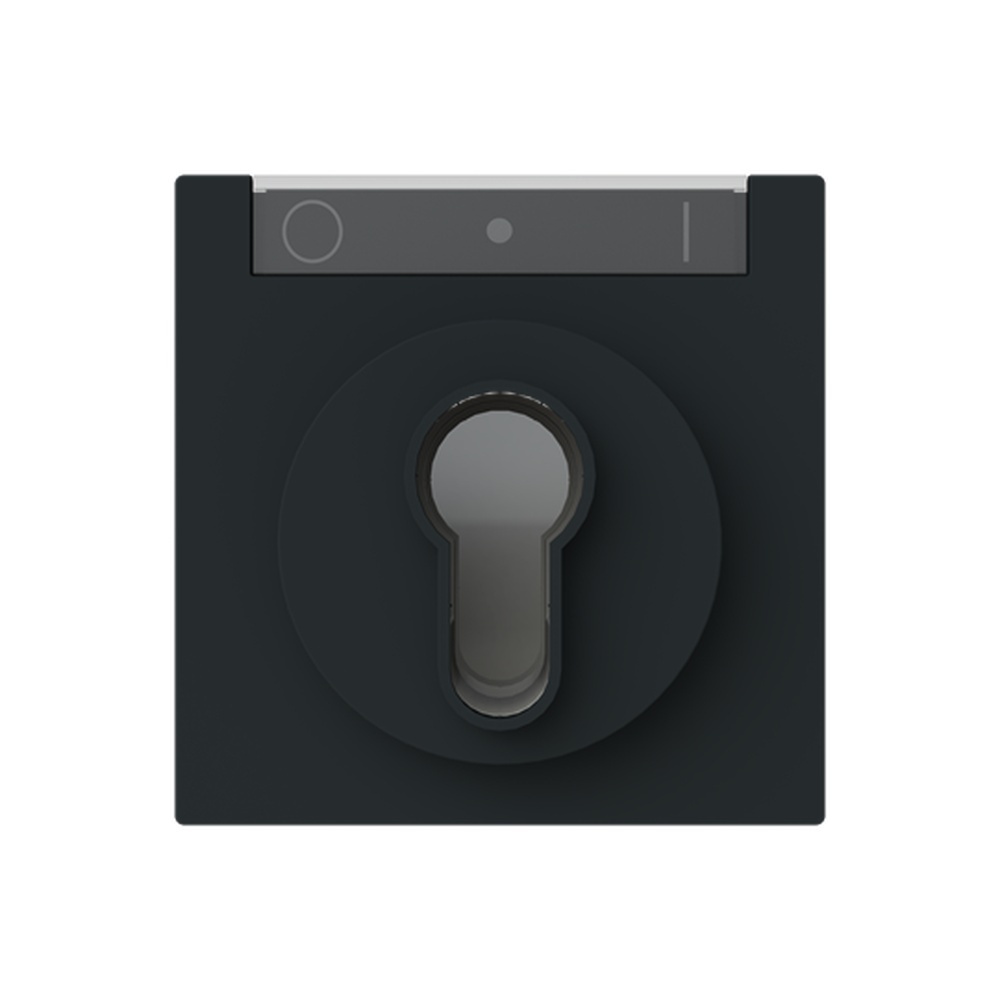 Busch-Jäger Zentralscheibe 1755 SL/PZ-45M Nr. 2CKA001710A4160