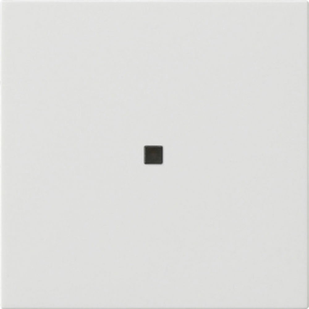 Gira eNet Funk Bedienaufsatz 549503