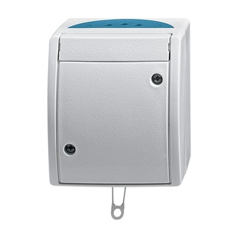 Busch-Jaeger Zugschalter 2610/6 W-53 Nr. 2CKA001383A0141