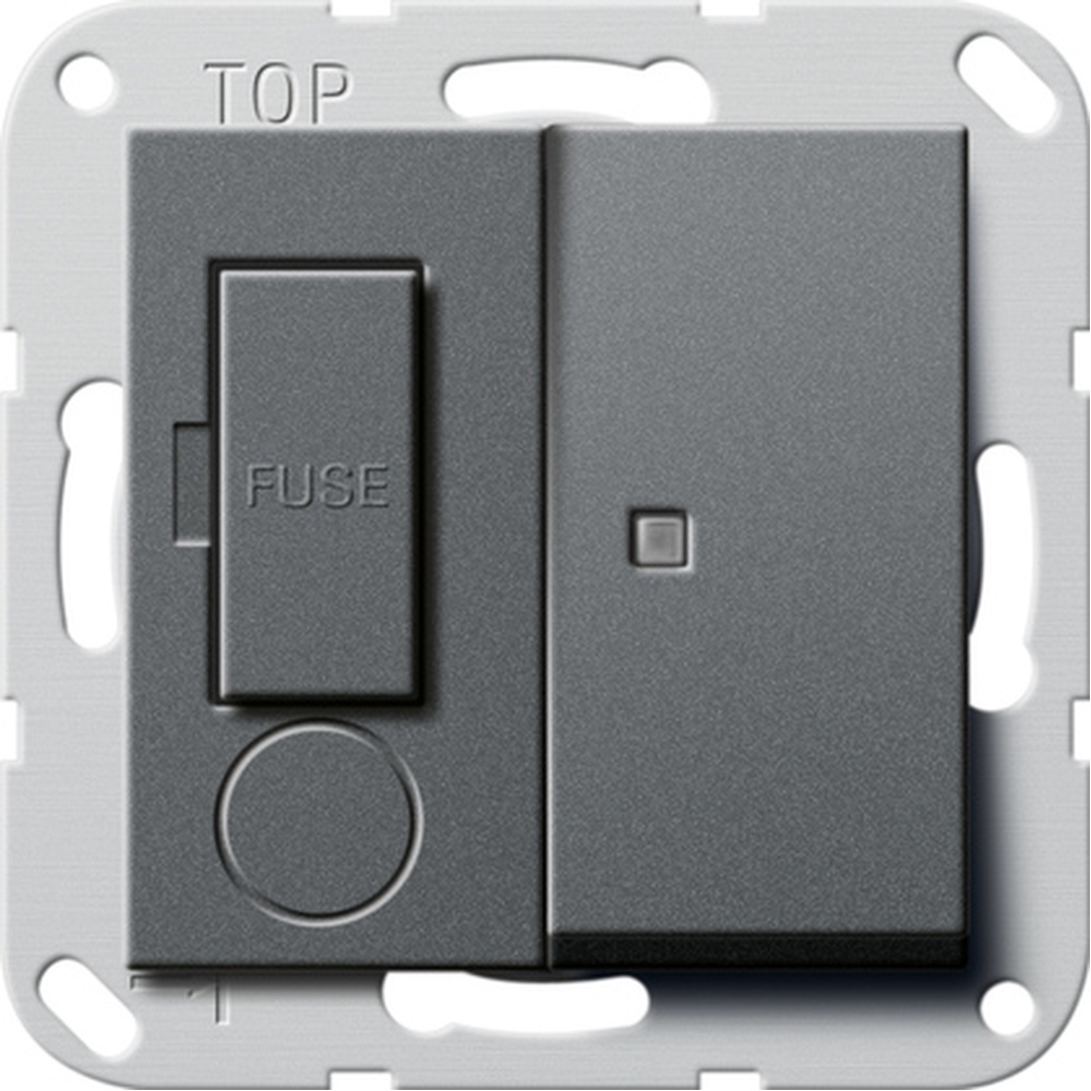 Gira Fused outlet Kontroll 278728