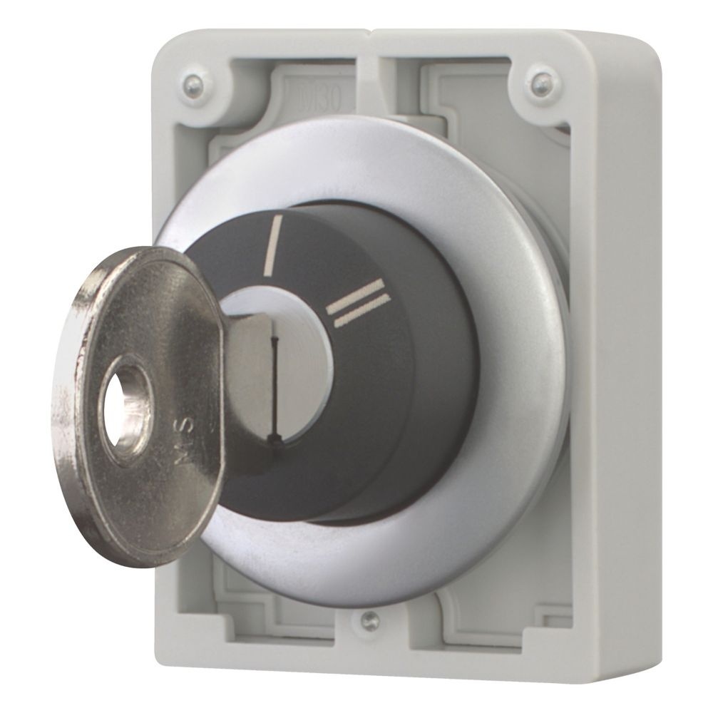 Eaton Schlüsseltasten 187067 Typ M30C-FWRS-X95