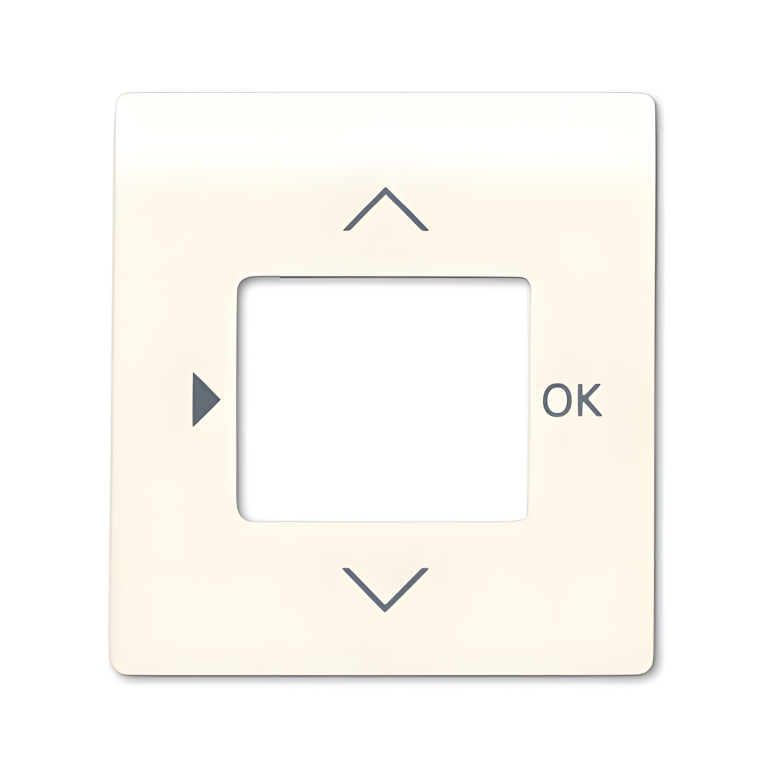 Busch-Jaeger Zentralscheibe 6435-72 Nr. 2CKA006430A0341