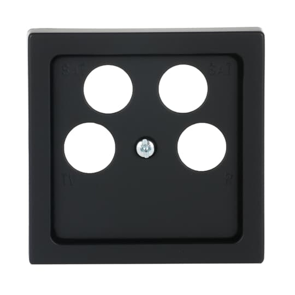 Busch-Jaeger Zentralscheibe 1743/10-04-885 Nr. 2CKA001724A4371