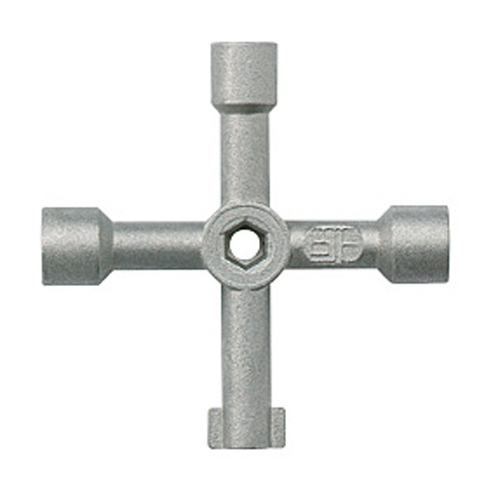 Legrand Schlüssel 036842