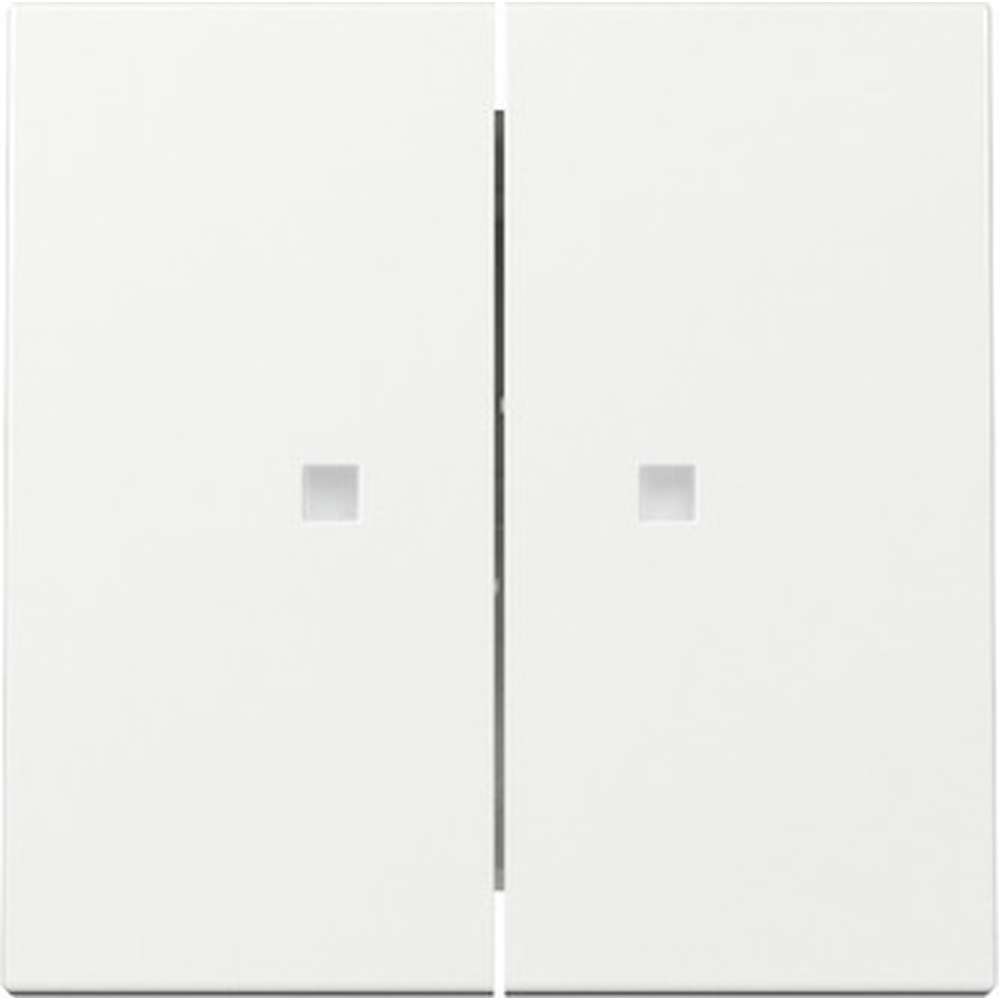 Gira Wippe 2fach 363103